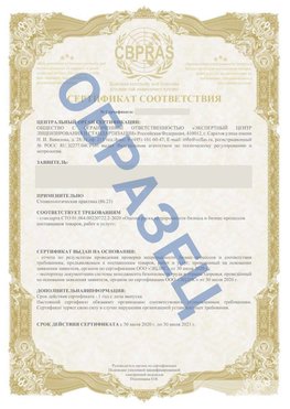 Образец Сертификат СТО 01.064.00220722.2-2020 Краснокамск Сертификат СТО 01.064.00220722.2-2020 